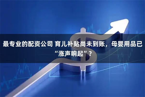 最专业的配资公司 育儿补贴尚未到账，母婴用品已“涨声响起”？