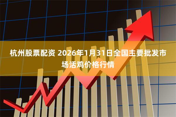 杭州股票配资 2026年1月31日全国主要批发市场活鸡价格行情
